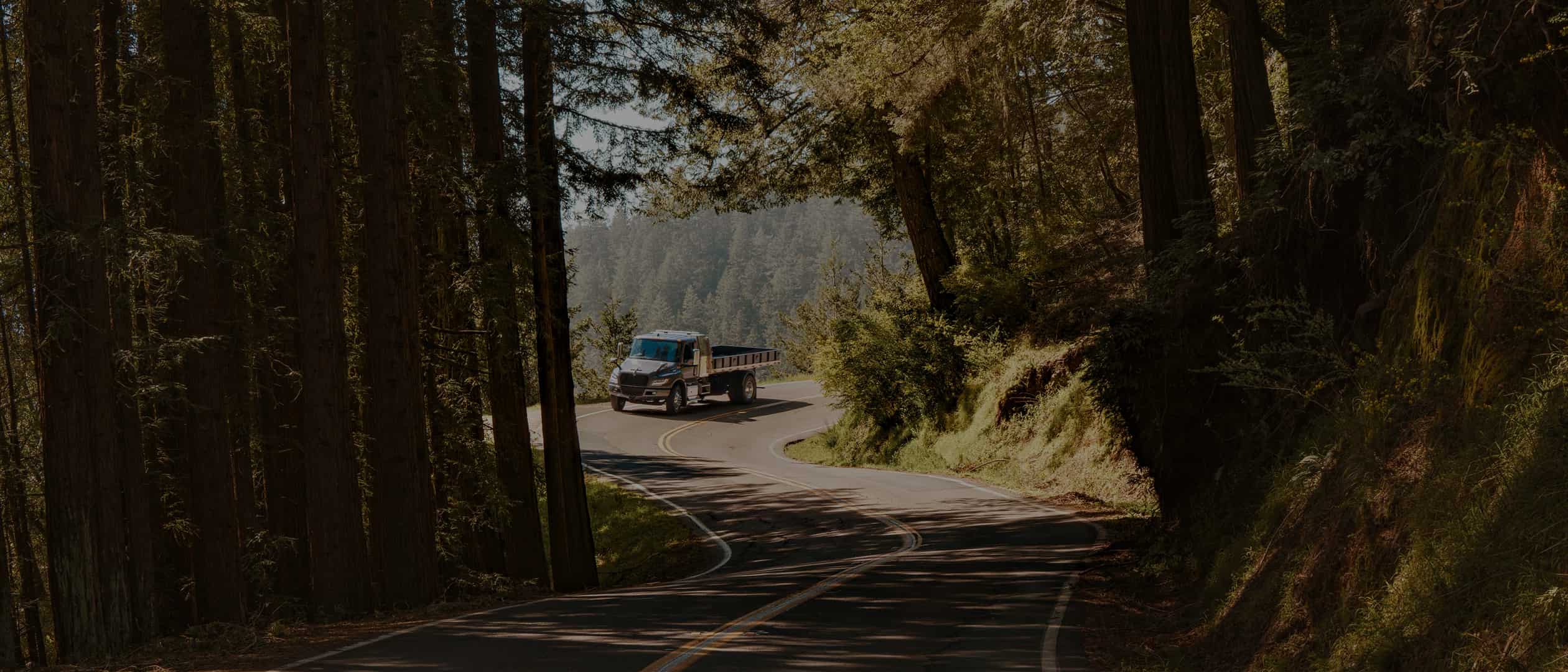 banner_21-9_Eléctricos