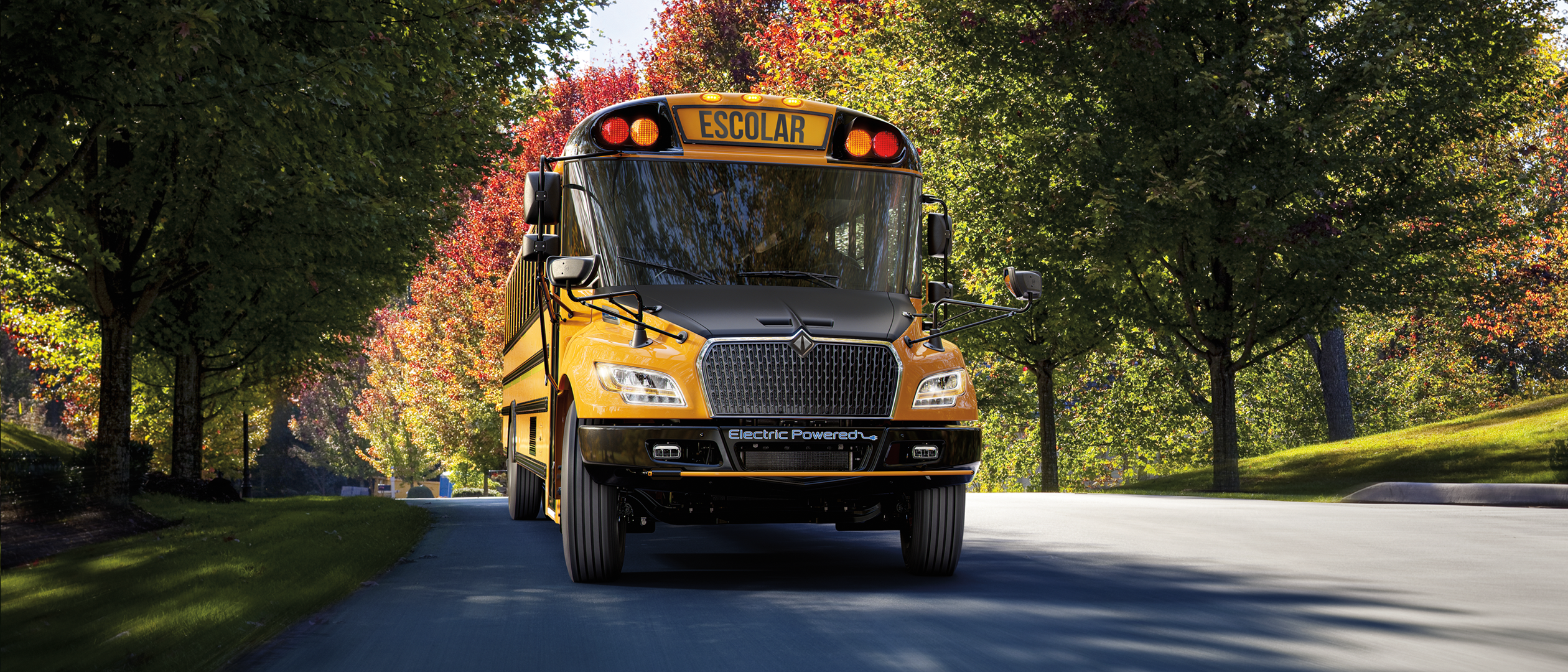 Autobuses_eCE