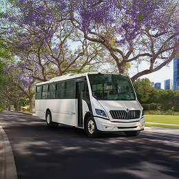 Autobuses
